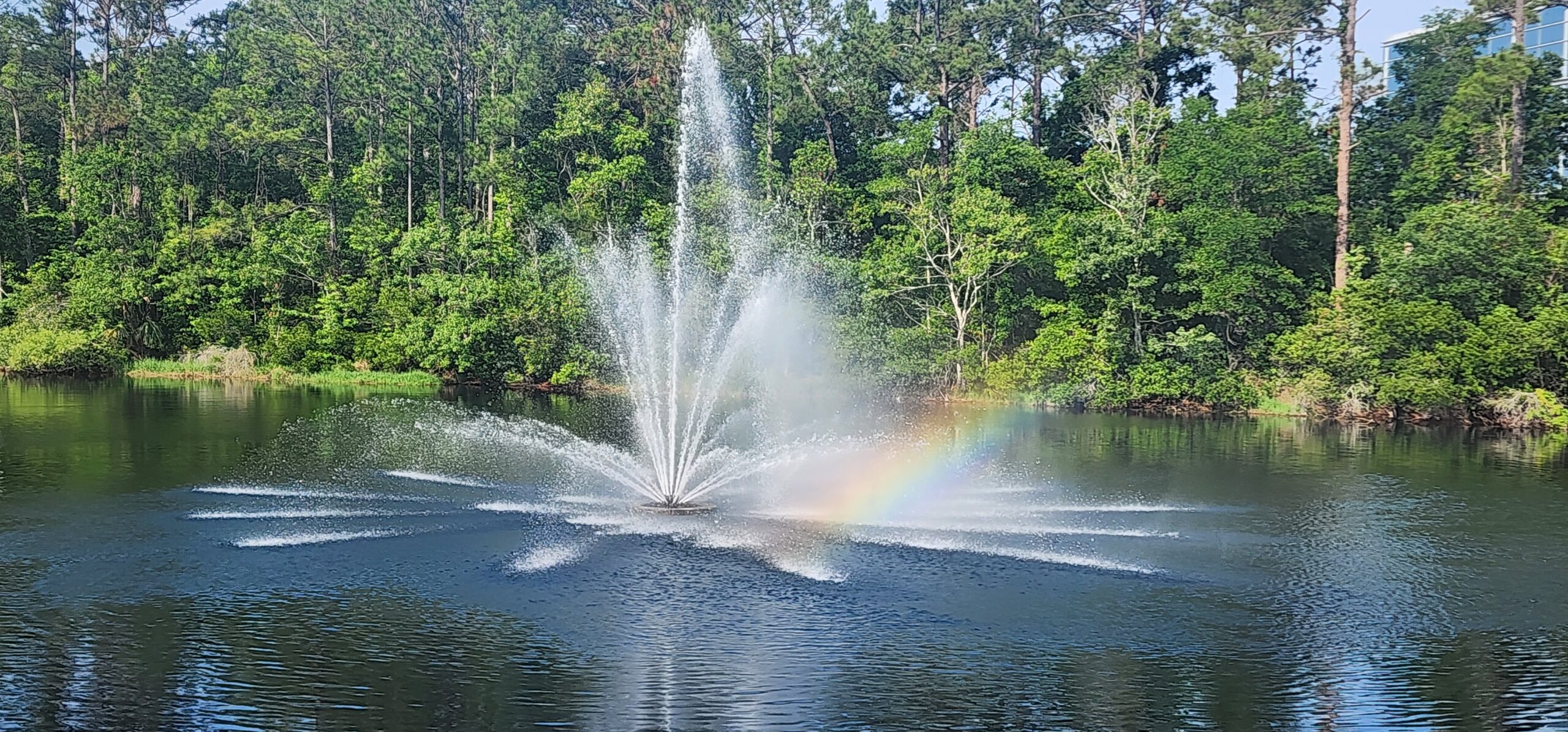 Mayo Clinic Fountain